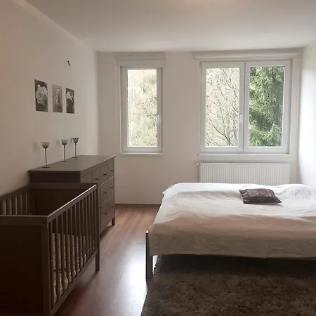 Apartment Le Mont Špindlerŭv Mlýn
