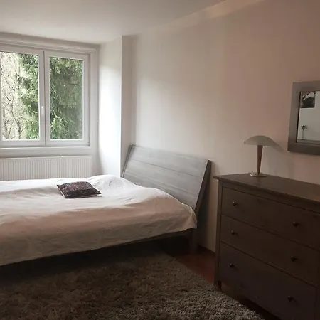 Apartment Le Mont Špindlerŭv Mlýn